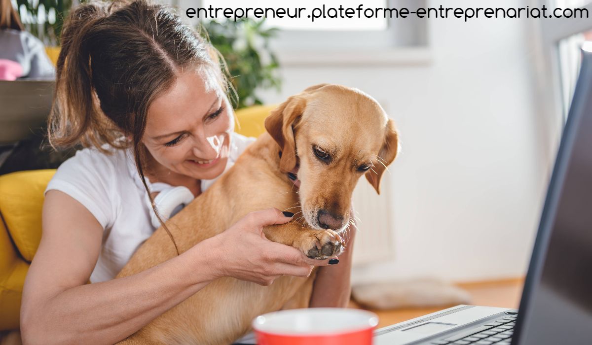 entrepreneur.plateforme-entreprenariat.com